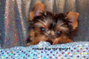 100_1707test.jpg