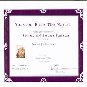 birthcertificateyrtwcopy.jpg