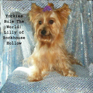 lilly3yrtw.jpg
