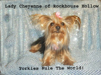 cheyenne4yrtw.jpg