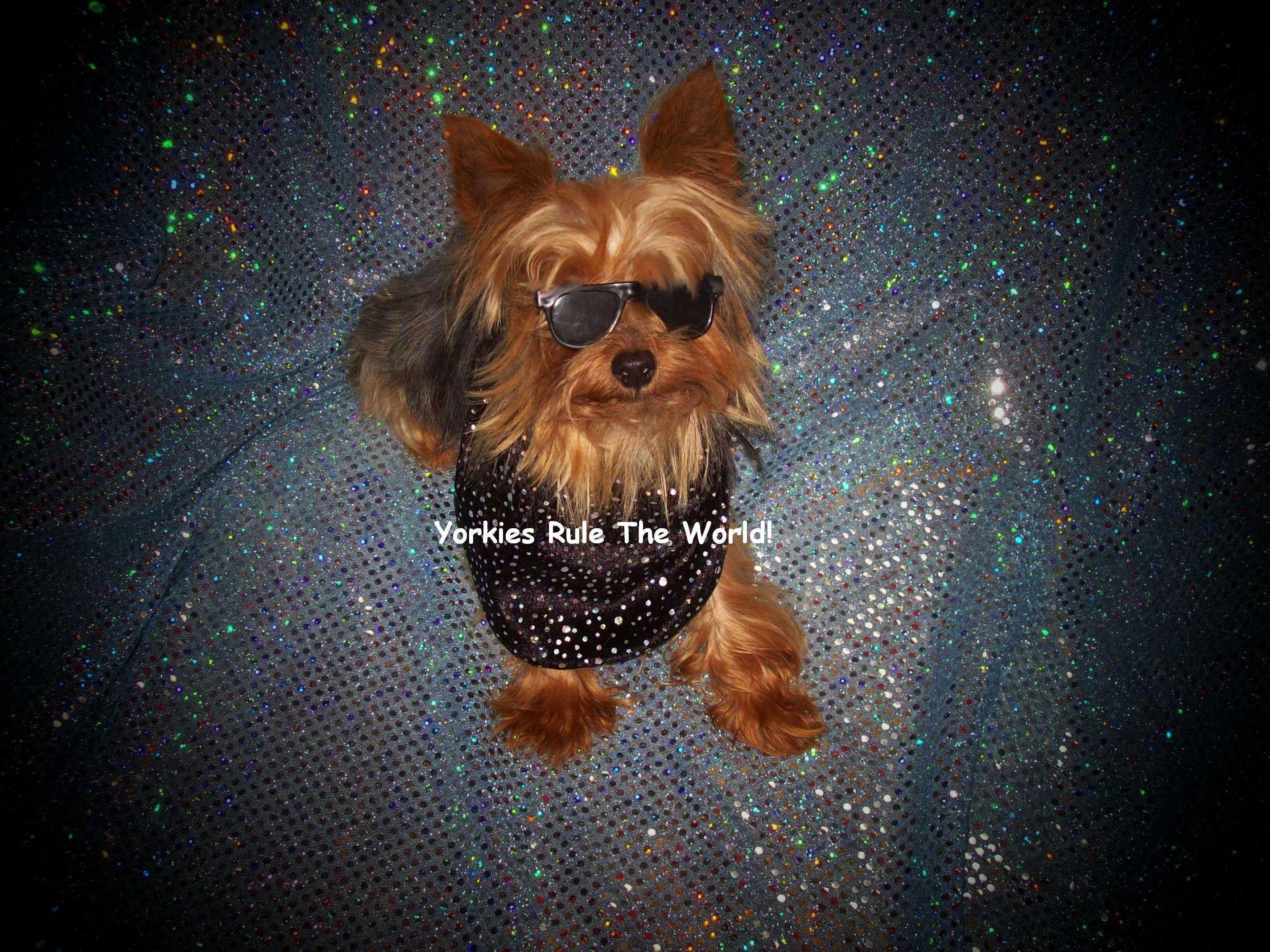 sparktheman2test1.jpg